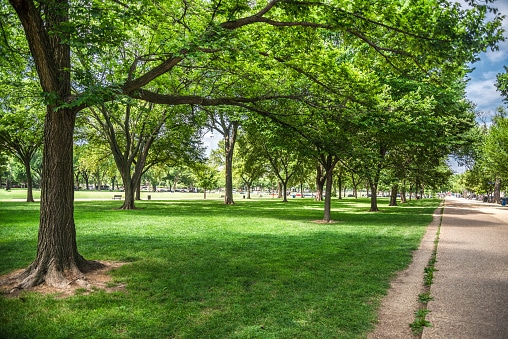 Drone view of Washington DC